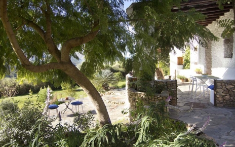 Los árboles proporcionan intimidad